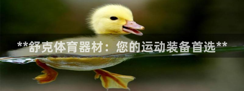 极悦官网登录：**舒克体育器材：您的运动装备首选**