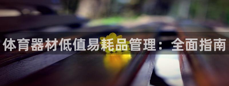 极悦娱乐是资金盘吗：体育器材低值易耗品管理：全面指南