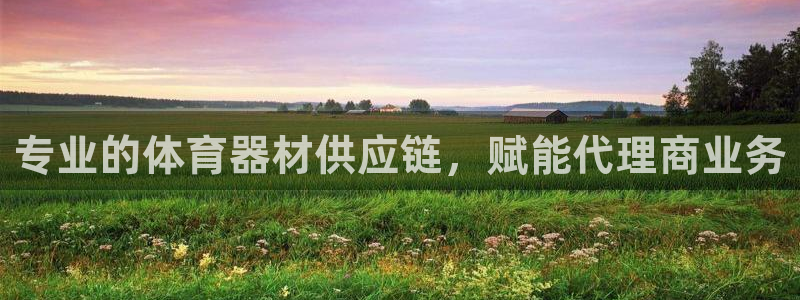 极悦平台注册用户名验证失败：专业的体育器材供应链，赋