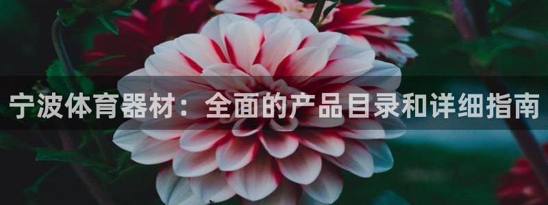 极悦平台官方网站首页下载：宁波体育器材：全面的产品目