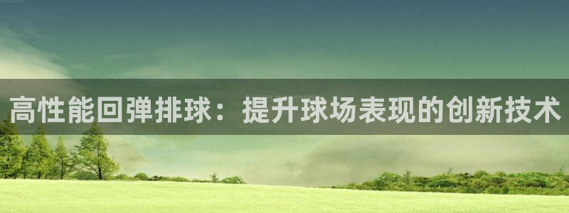 极悦平台注册申请流程详解：高性能回弹排球：提升球场表
