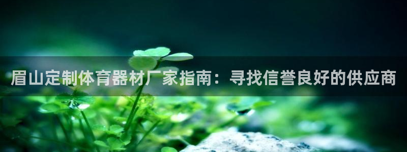 极悦平台的注册流程及注意事项有哪些：眉山定制体育器材