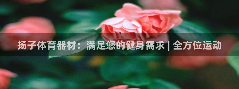极悦娱乐登录网站每天的工作内容：扬子体育器材：满足您