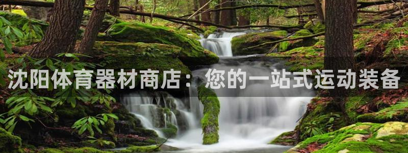 极悦平台登录最新版本更新内容怎么删除：沈阳体育器材商