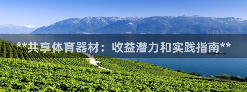 极悦娱乐的最新版本更新内容：**共享体育器材：收益潜
