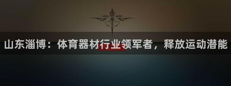 极悦平台注册申请流程详解：山东淄博：体育器材行业领军