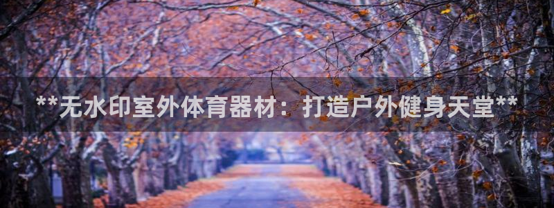 极悦平台注册和登录页面：**无水印室外体育器材：打造