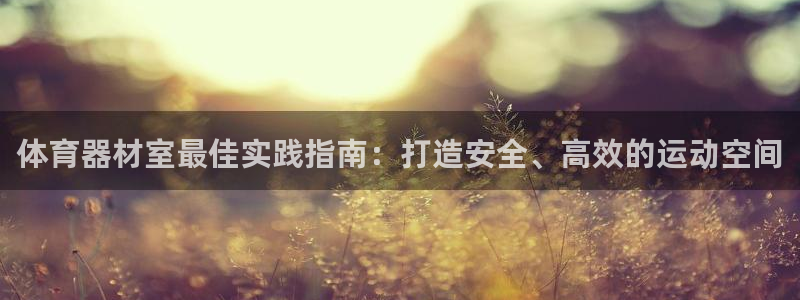 极悦平台有风险吗：体育器材室最佳实践指南：打造安全、