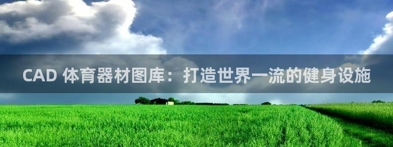 极悦平台是干嘛的公司：CAD 体育器材图库：打造世界