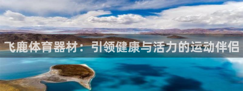 极悦娱乐贴吧百度：飞鹿体育器材：引领健康与活力的运动