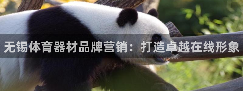 极悦官网旗舰店是正品吗：无锡体育器材品牌营销：打造卓