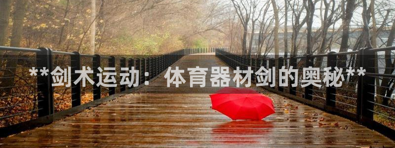 极悦官网的登录方法有哪些：**剑术运动：体育器材剑的