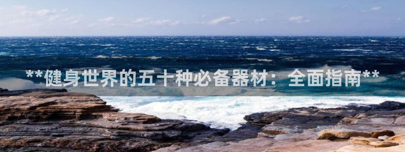 极悦平台是干什么的公司：**健身世界的五十种必备器材