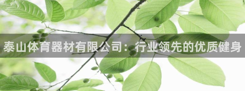 极悦娱乐官网APP下载：泰山体育器材有限公司：行业领先的优质