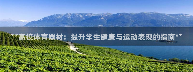 极悦注册：**高校体育器材：提升学生健康与运动表现的