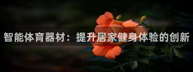 极悦官网登录：智能体育器材：提升居家健身体验的创新