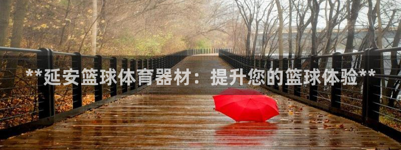 极悦生活家是什么平台：**延安篮球体育器材：提升您的