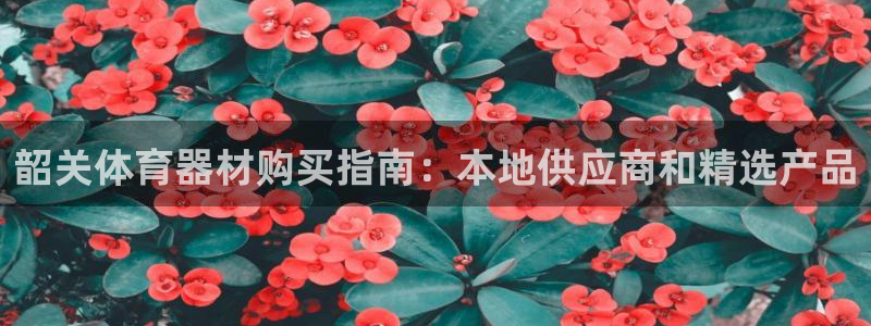 极悦平台客服的联系方式是多少：韶关体育器材购买指南：