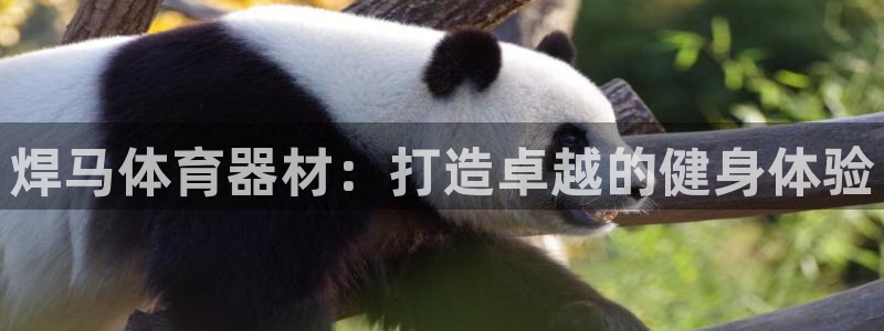 极悦平台客服团队介绍：焊马体育器材：打造卓越的健身体