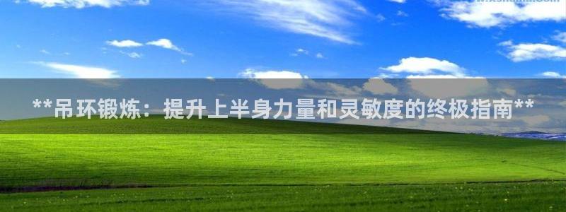 极悦娱乐代理多少钱一年：**吊环锻炼：提升上半身力量