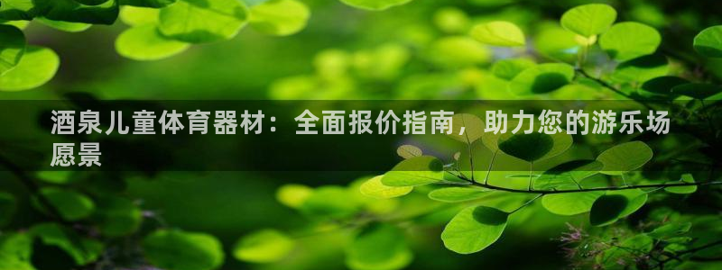 极悦官网的登录方法有哪些：酒泉儿童体育器材：全面报价