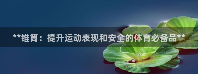 极悦娱乐的创始人背景故事简介：**锥筒：提升运动表现