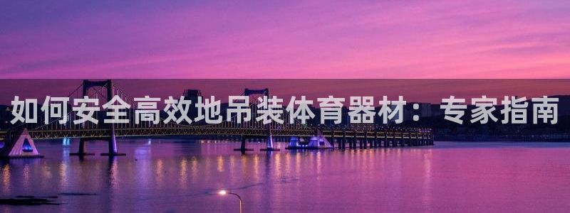 极悦平台注册官方网站下载安卓：如何安全高效地吊装体育