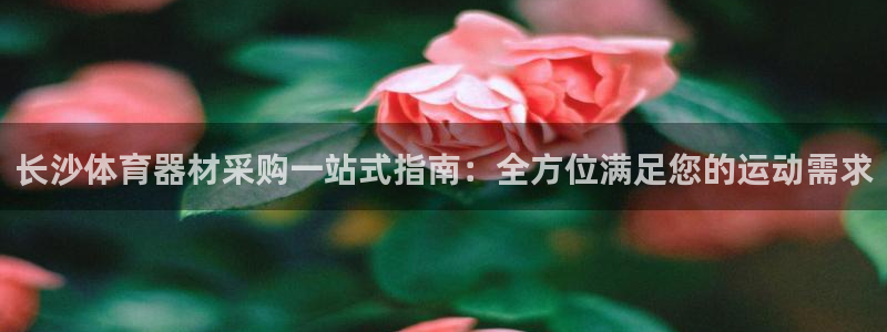 极悦平台注册的弊端及解决方法：长沙体育器材采购一站式