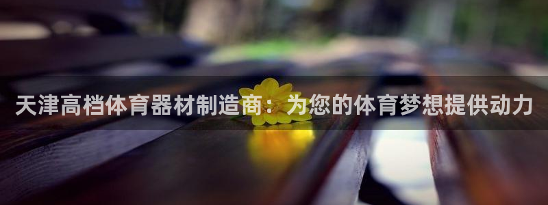 极悦平台注册官网：天津高档体育器材制造商：为您的体育