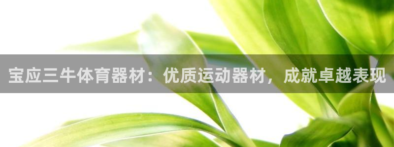 极悦娱乐app官方版本更新内容是什么：宝应三牛体育器