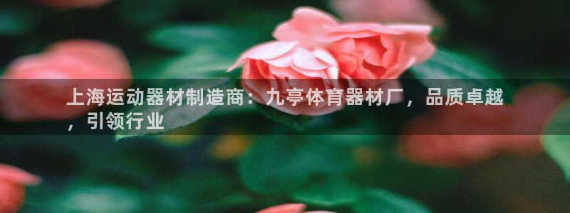 极悦平台注册流程：上海运动器材制造商：九亭体育器材厂