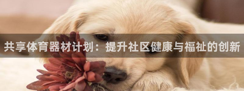 极悦娱乐的创始人背景故事是什么：共享体育器材计划：提