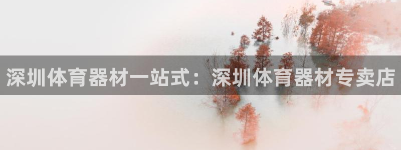 极悦娱乐分7O777：深圳体育器材一站式：深圳体育器