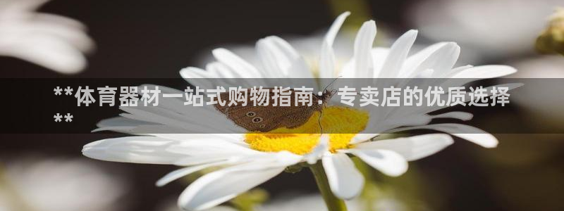极悦是什么牌子空调的：**体育器材一站式购物指南：专