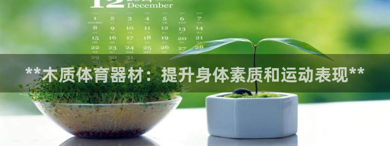 极悦平台注册官网下载：**木质体育器材：提升身体素质