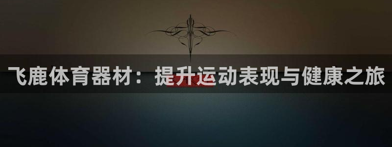 极悦平台官网登录网址：飞鹿体育器材：提升运动表现与健