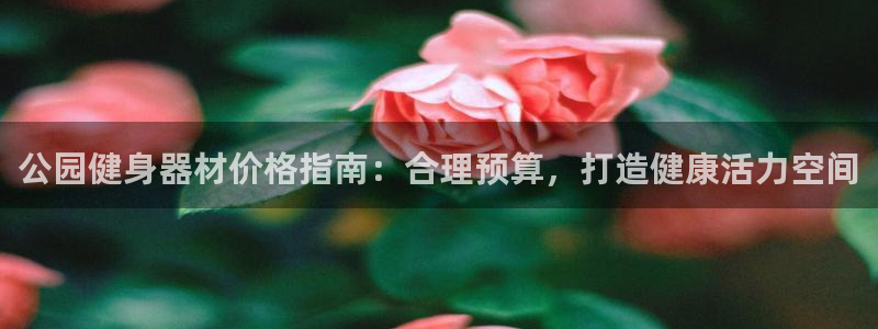 极悦平台注册用户名验证不了：公园健身器材价格指南：合