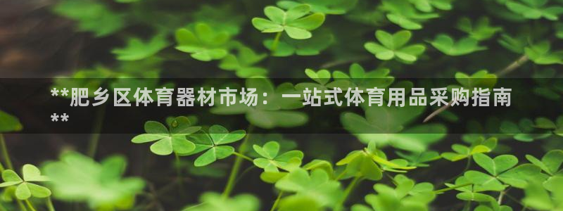 极悦平台客服团队怎么样：**肥乡区体育器材市场：一站