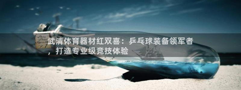 极悦平台平台注册方法与步骤是什么：武清体育器材红双喜