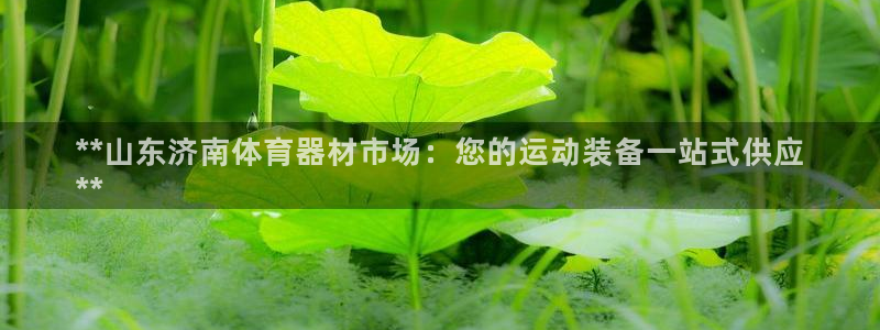 极悦平台登录最新版本更新内容是什么：**山东济南体育