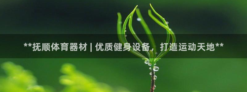 极悦平台用户反馈和反馈的区别：**抚顺体育器材 | 优质健身