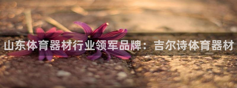 极悦平台创始人背景故事视频：山东体育器材行业领军品牌