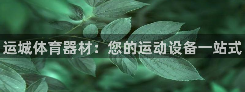 极悦平台非7O777：运城体育器材：您的运动设备一站