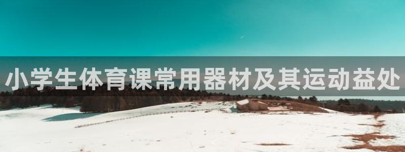 极悦平台注册申请流程详解图片：小学生体育课常用器材及