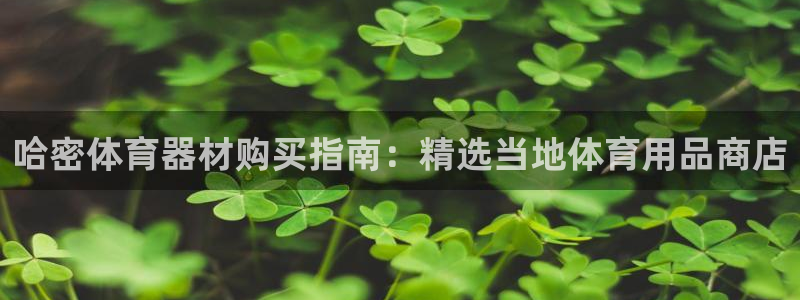 极悦平台注册资金多少钱：哈密体育器材购买指南：精选当