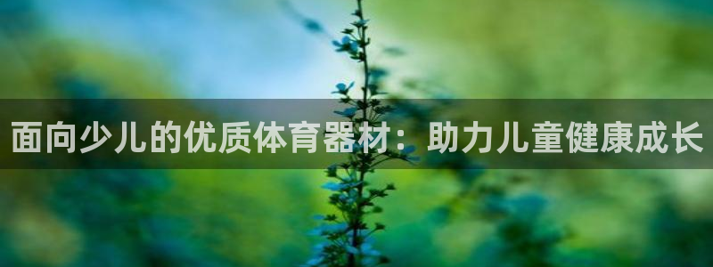 极悦娱乐代理多少钱一个月：面向少儿的优质体育器材：助