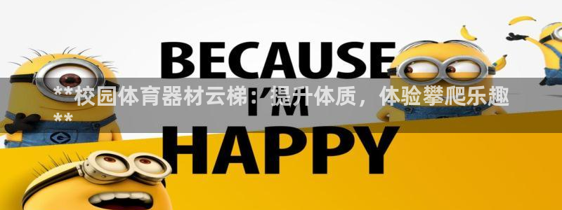 极悦娱乐app官方版本更新内容是什么：**校园体育器