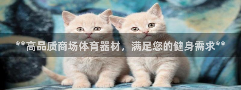 极悦娱乐登录网站每天的工作内容：**高品质商场体育器