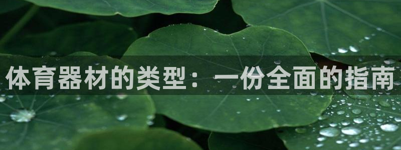 极悦娱乐代理多少钱：体育器材的类型：一份全面的指南