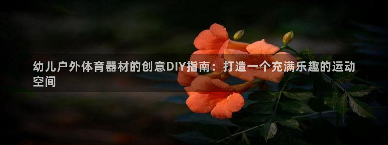 极悦平台官网入口网站：幼儿户外体育器材的创意DIY指南：打造